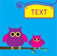 Two cute owls Card N2