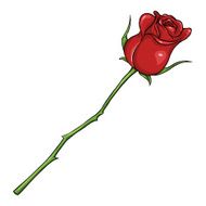 Vector Cartoon Isolated Illustration - Red Rose