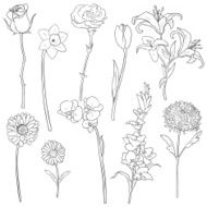 Vector Set of Outline Flowers