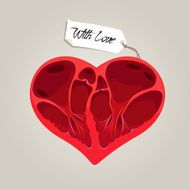 Valentines anatomy heart