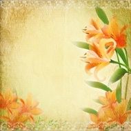 Retro vintage background with lily