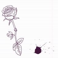 Ink drawing rose N3