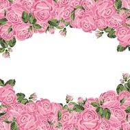 romantic roses frame N2