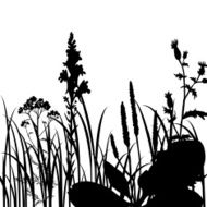 Silhouettes of flowers and grass N17