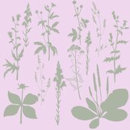 Silhouettes of flowers and grass N20