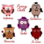 funny owls set for your design