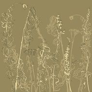 Monochrome line drawing herbs N3