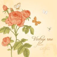 Vector Vintage card with coral red rose