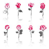 Roses set icons with reflection