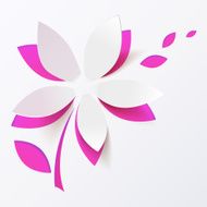 Pink paper flower vector greeting card template N2