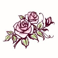 Roses N57