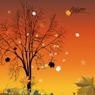 04 Autumn Tree