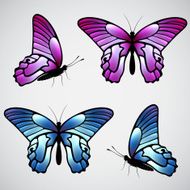 Vector colorful butterflies N2