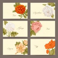 Set of Vintage Floral horizontal business cards