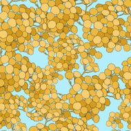 Seamless pattern with tansy N2