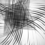 vector grid N2
