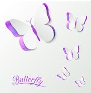 Paper butterfly card N6