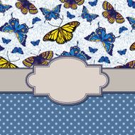 vector vintage frame with butterflies N5