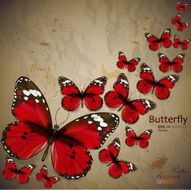 Colorful vintage background with butterfly
