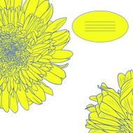 Floral card with gerbers N4