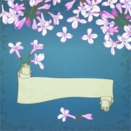 lilac&amp;scroll