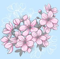 cherry blossom N24