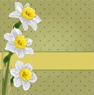 narcissus bouquet
