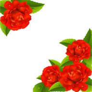 Background with roses N18