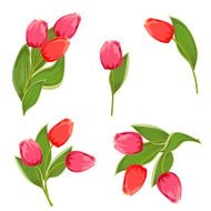Set bouquets of tulips for your design