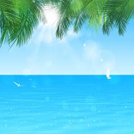 Pacific Paradise N2