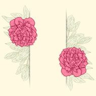 Vector greeting card with peonies N2