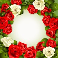 Background with roses N19