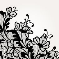 Black vector lace N2