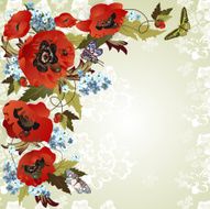 Background with poppies and cornflowers