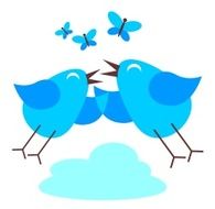 Happy birds N3