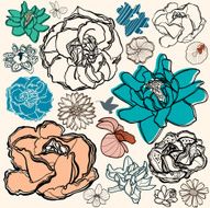 Set of flowers Floral elements N2