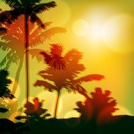 Sea sunset with island and palm trees N13