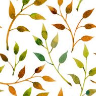 Leaves N71
