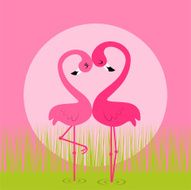 Flamingo love