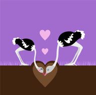 Ostrich love