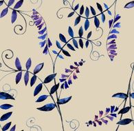 wild vetch N5