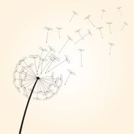 Black vector dandelions N25