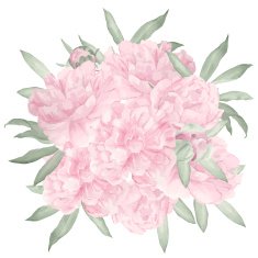 Watercolor peony circle Floral print