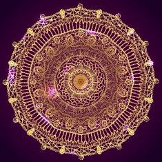 Golden lace mandala hand drawn illustration N2