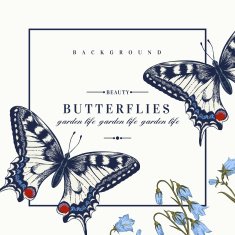 Card with butterflies and flowers N5