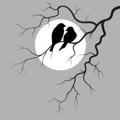 two birds N12