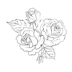 bouquet of roses N4