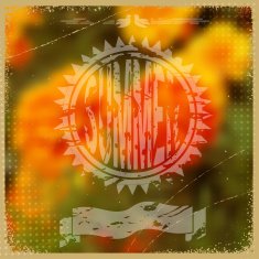 Card or invitation with retro background Floral pattern