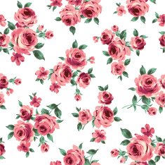 repetition of the rose N84
