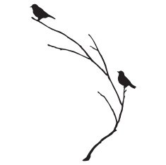 Silhouette of BlueBirds on a Branch